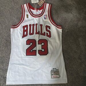 100% Authentic Mitchell & Ness Michael Jordan Jersey 1995-96 Size 40 (Medium)